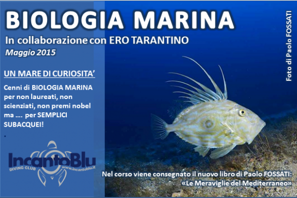Workshop Biologia Marina